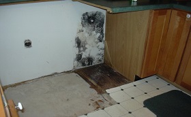 Mould In Kitchen Causes And Remedies