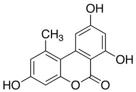 alternaria toxin